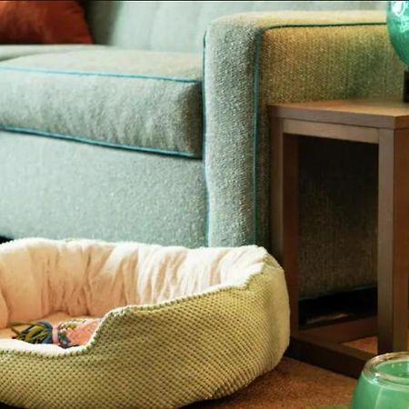 Home2 Suites By Hilton Dallas Medical District Lovefield, Tx エクステリア 写真